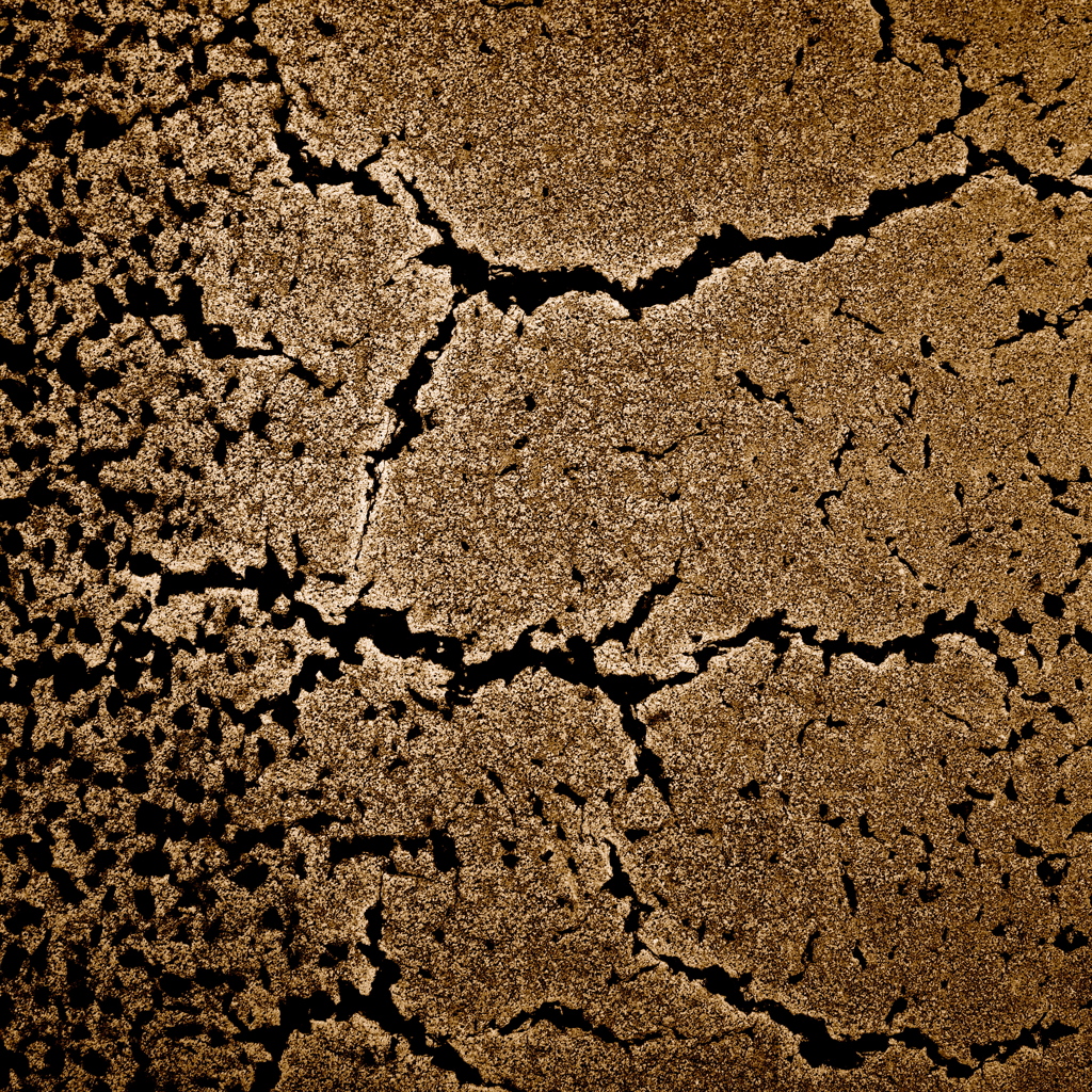 R0100348_2