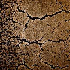 R0100348_2