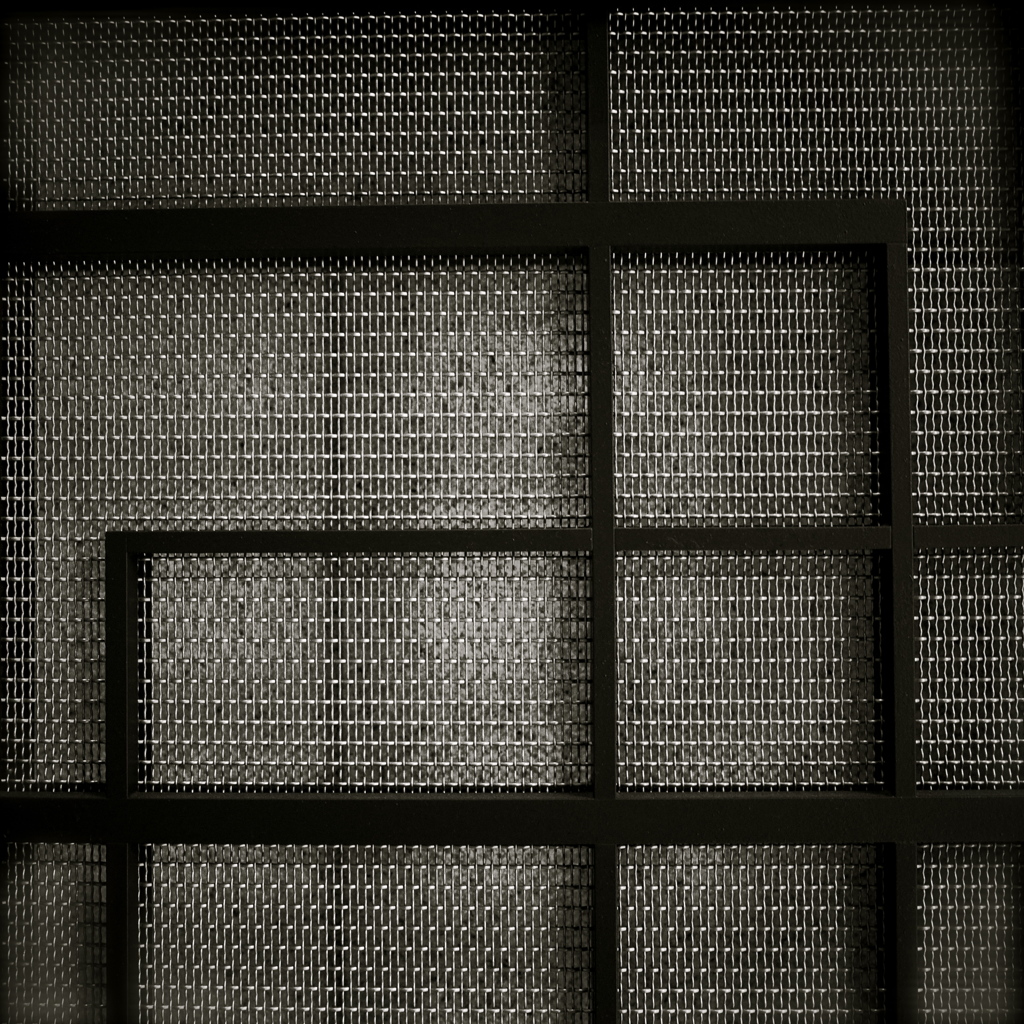 R0100480_2