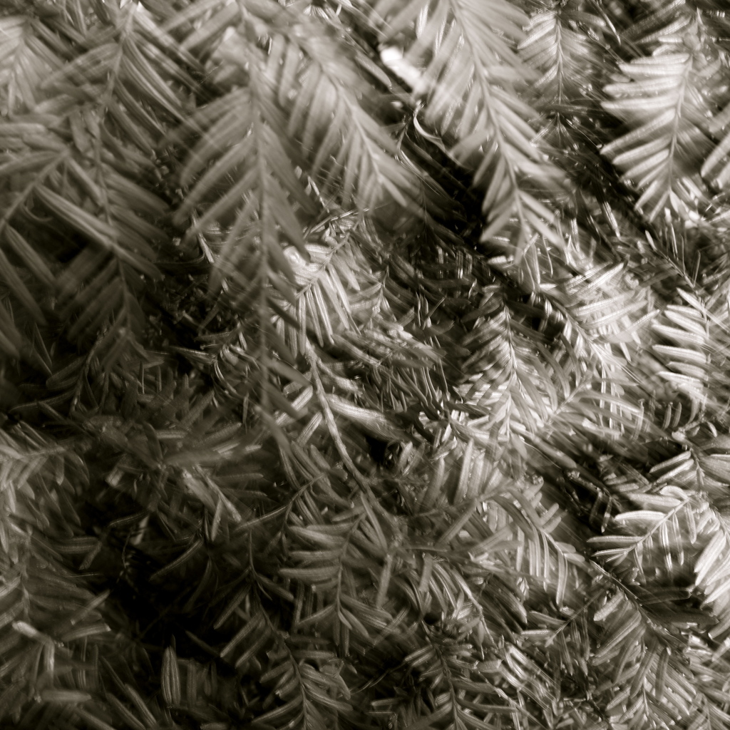 R0100366_2