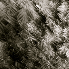 R0100366_2