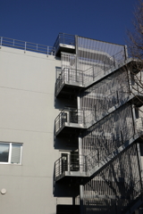 上野にて