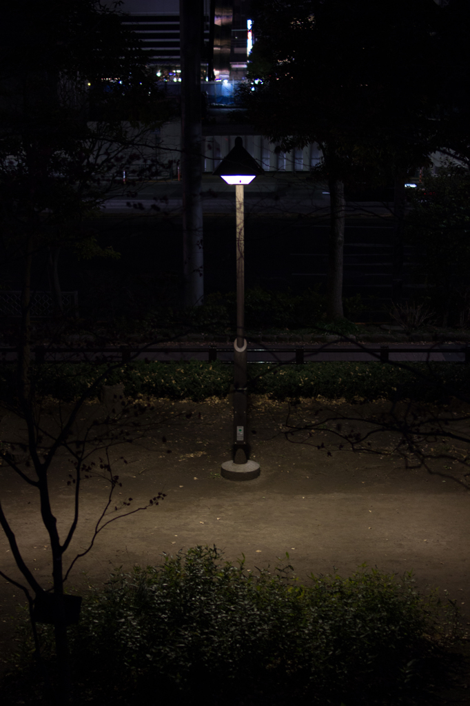 路照らす