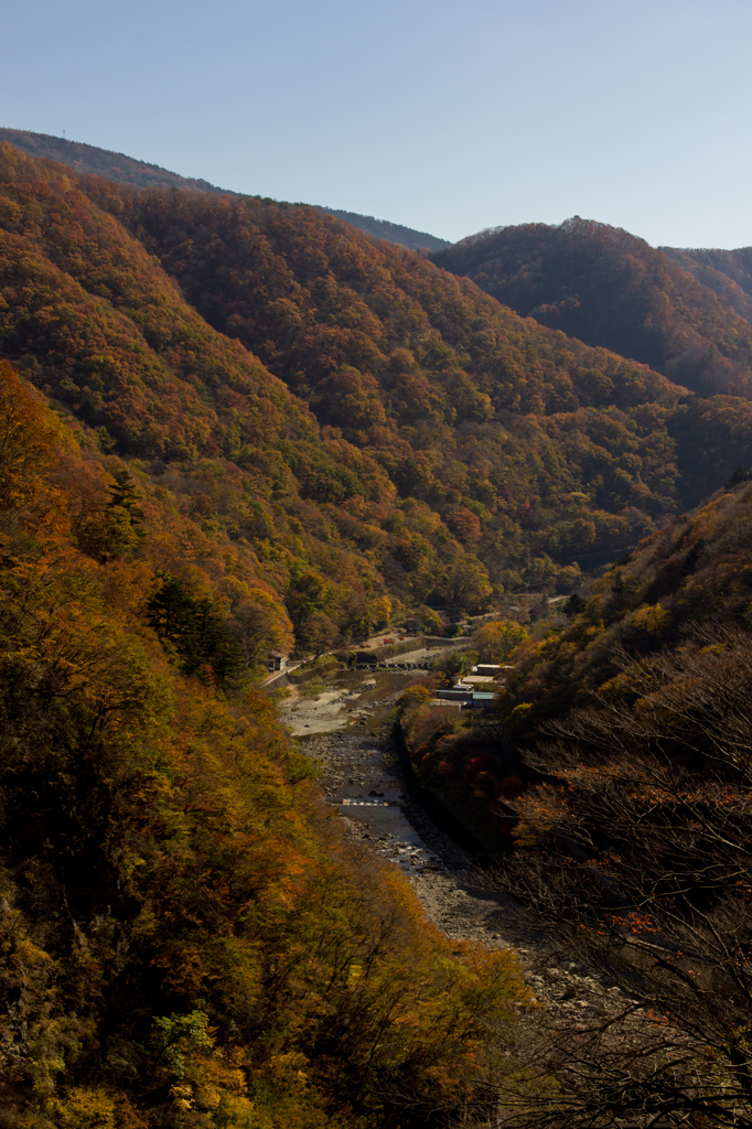 鬼怒川の紅葉③