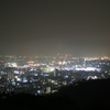 金華山