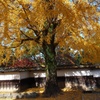 細川刑部邸3