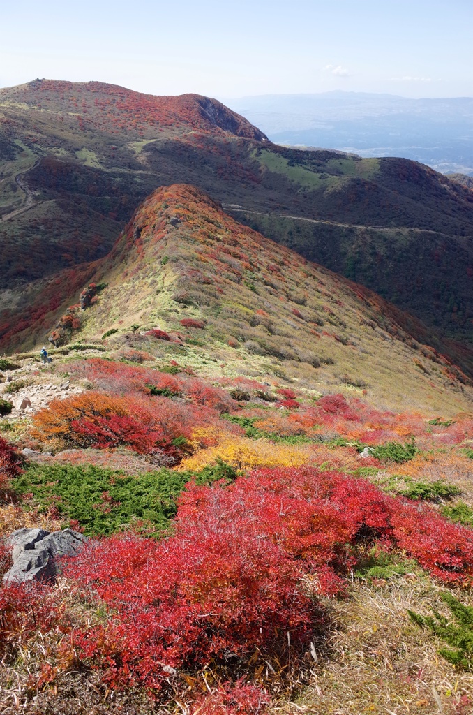 くじゅう星生山の紅葉3