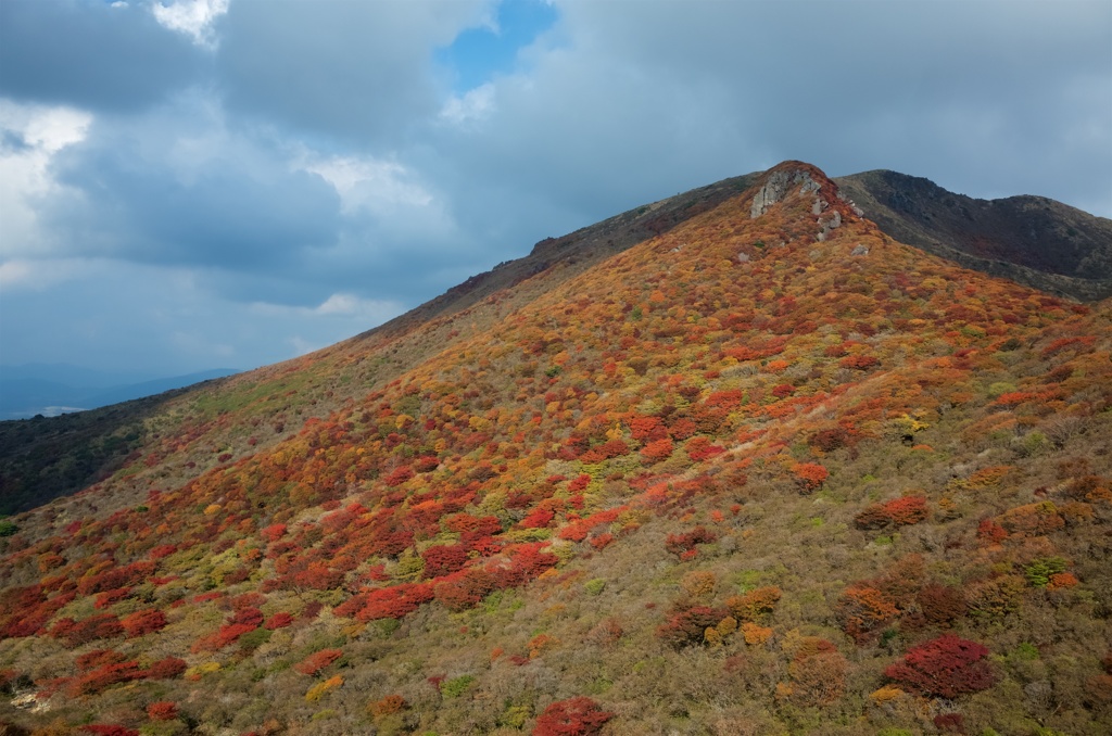 くじゅう星生山の紅葉2