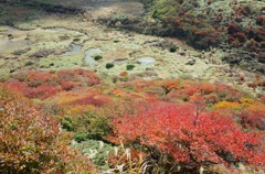 くじゅう星生山の紅葉2