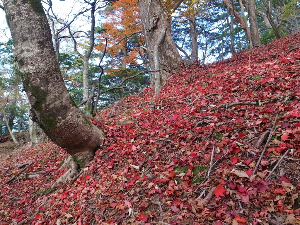 目丸山の秋2