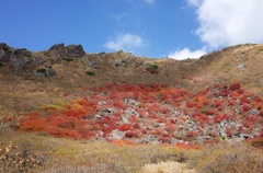 くじゅう星生山の紅葉4