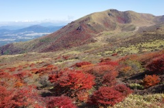 くじゅう扇ヶ鼻の紅葉1