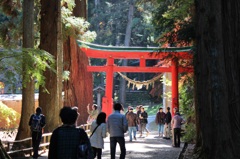 世界遺産⁉︎中尊寺！