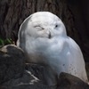 動物園にて3