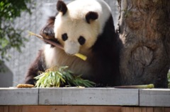 動物園にて6