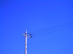 青い空