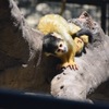 動物園にて