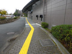 Yellow line