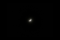 春から初夏への夜のお月様