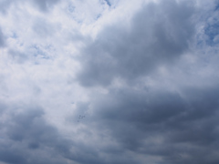 ブルーインパルスの夏空