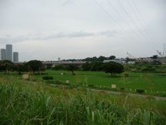 平日の梅雨の夏だ