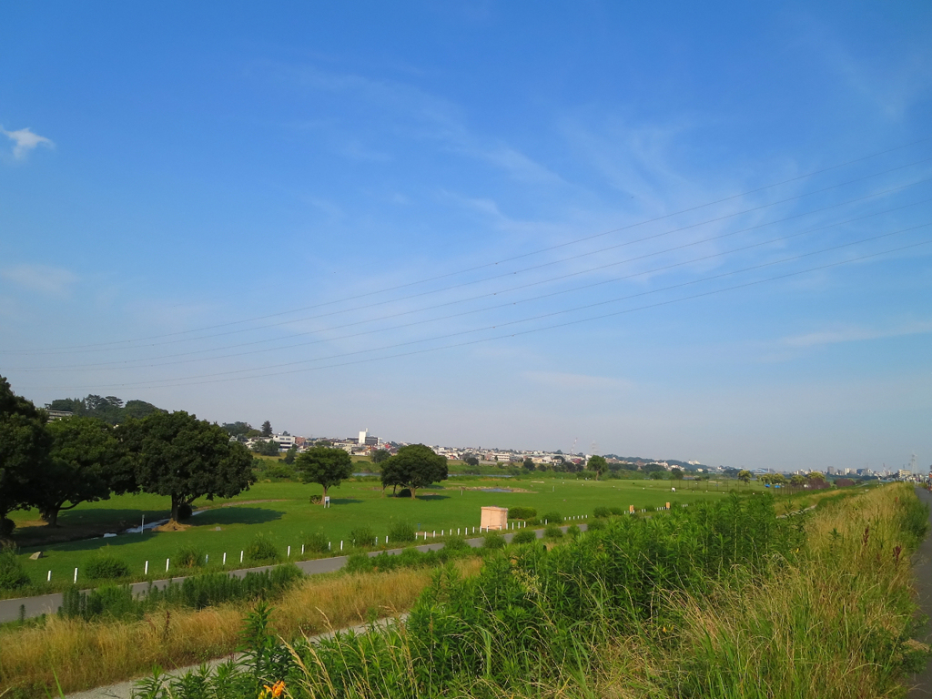 夏の思い出
