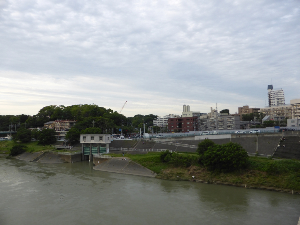 大雨の後の多摩川