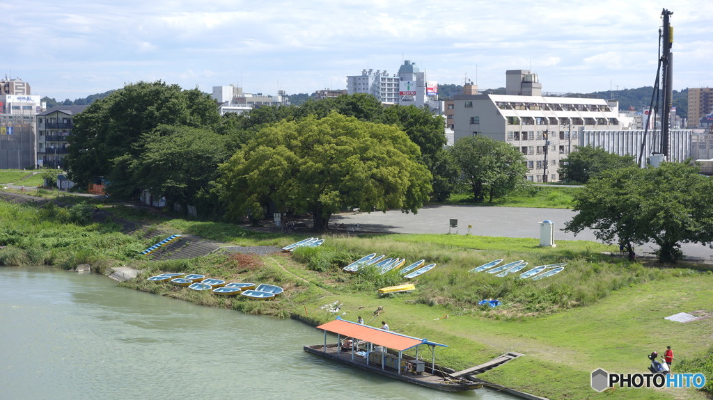 夏の多摩川船の駅？