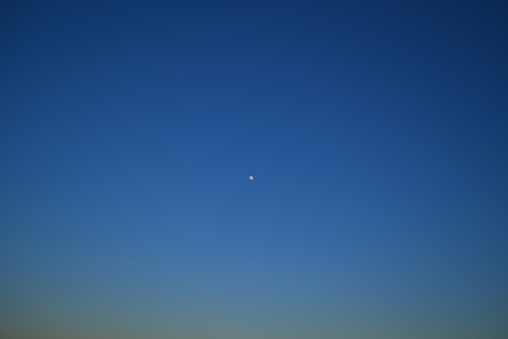 夕方の月