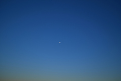 夕方の月