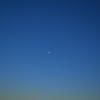 夕方の月