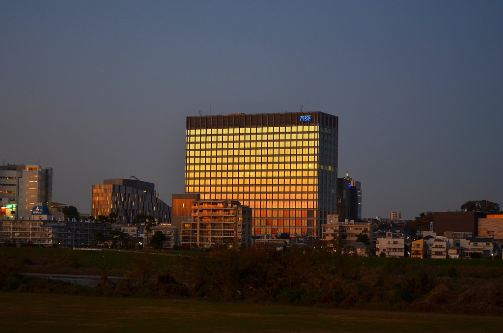 夕焼けに光る二子玉川ライズ