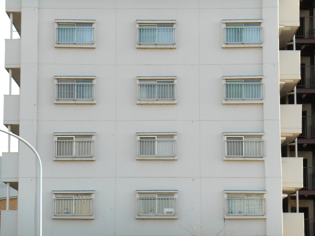 窓