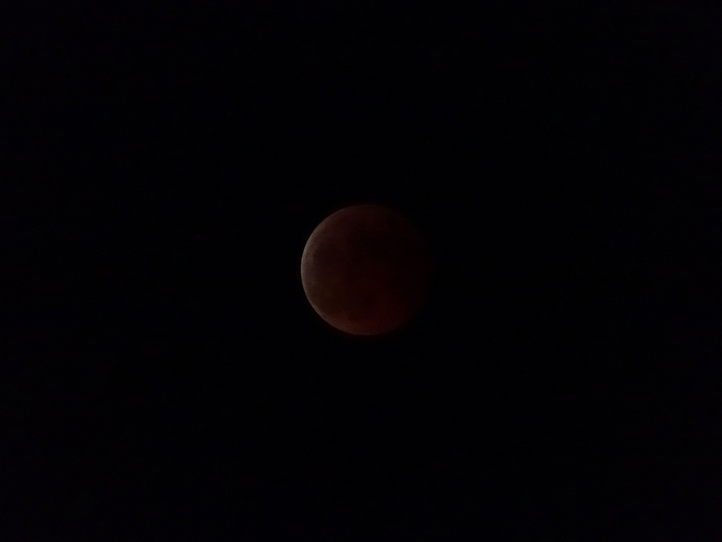 Dark Brown Moon