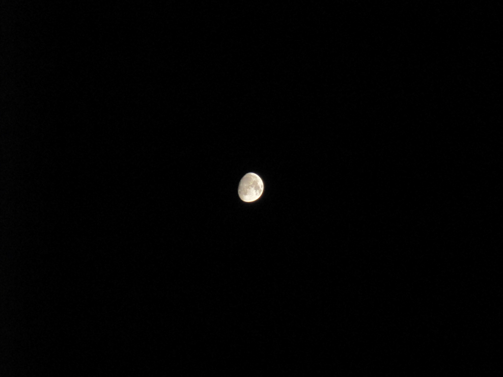 夏の下限の月（夜撮影・コンデジVer.）