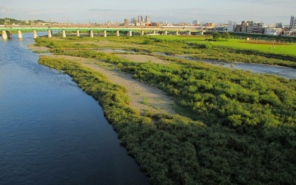 多摩川