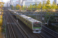 渋谷にきたついでに山手線 