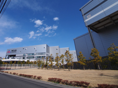 まるで海外みたい