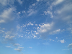 秋雲