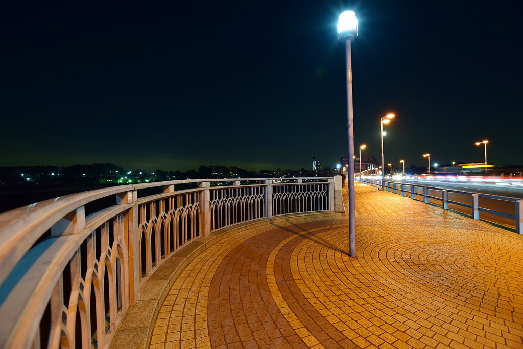 丸子橋の夜景