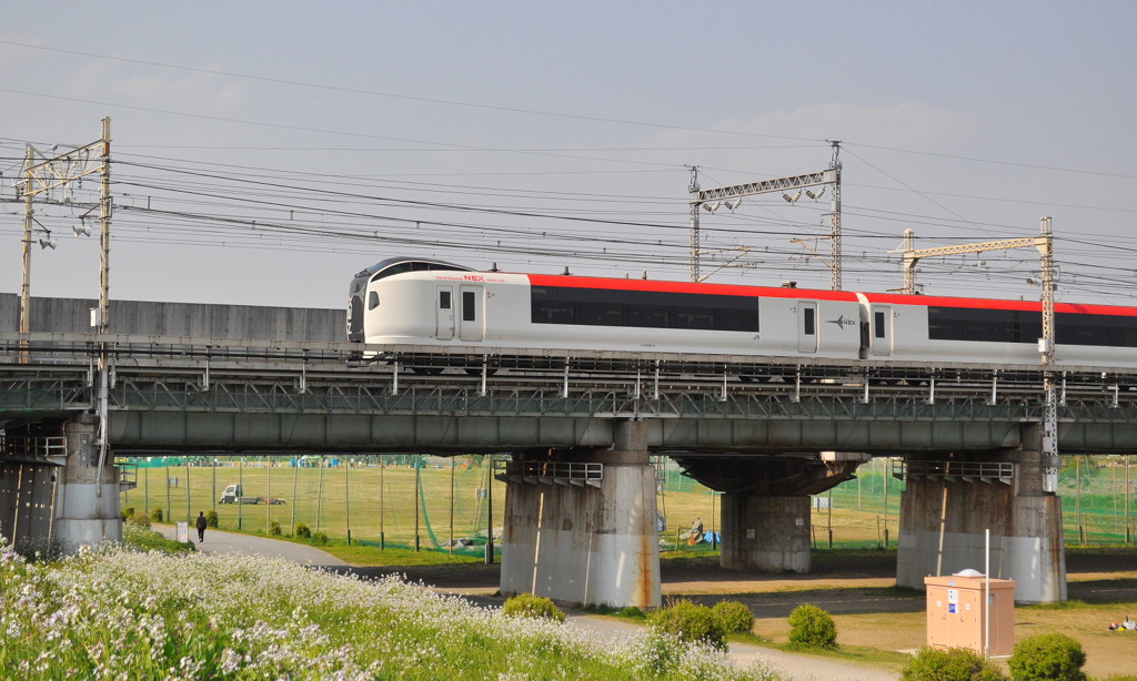 E259系 特急「成田エクスプレス」