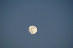 Winter Sky Moon