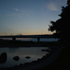 多摩川の池の石
