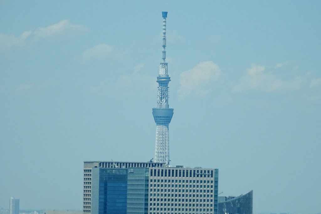 東京タワーから東京スカイツリー