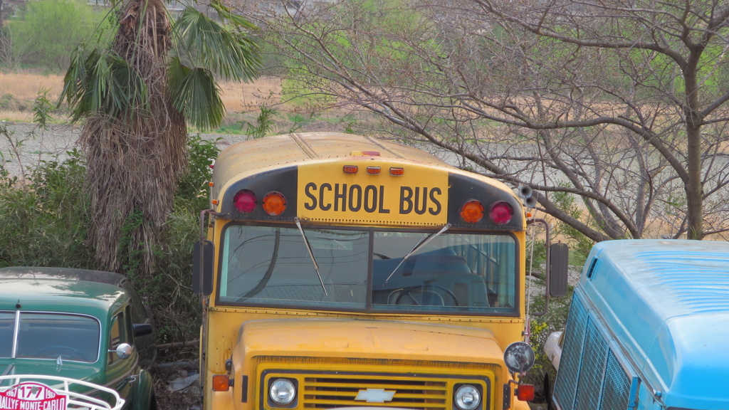 School Bus 