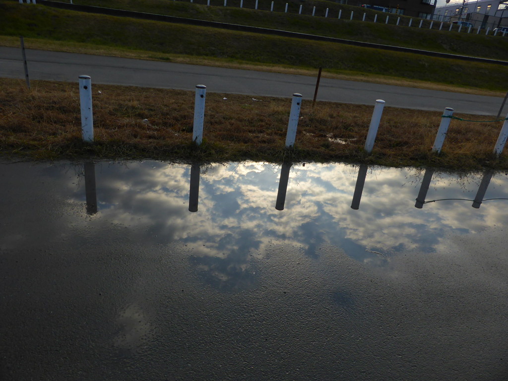 水たまりの逆空