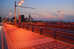オレンジライトの丸子橋