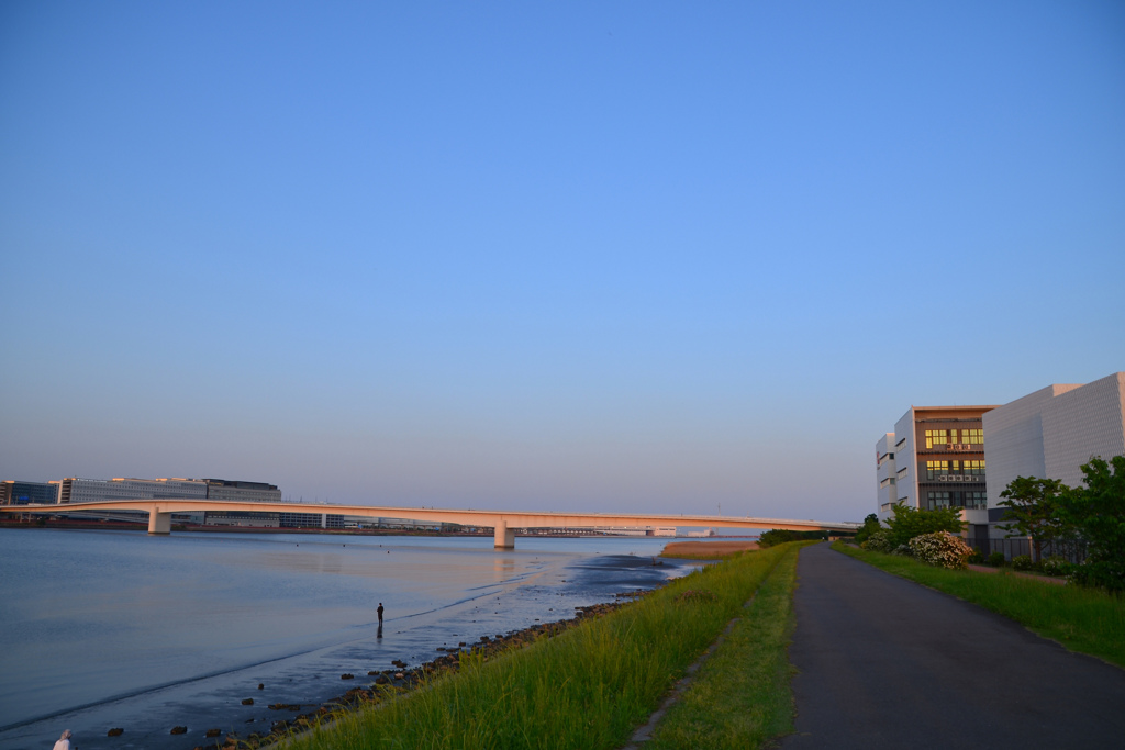 夕陽に染まった多摩川スカイブリッジ