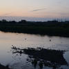 Relux Tamagawa 