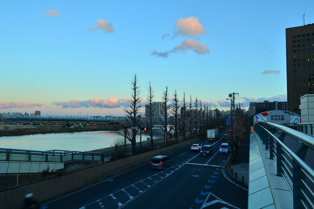 川崎市多摩川風景